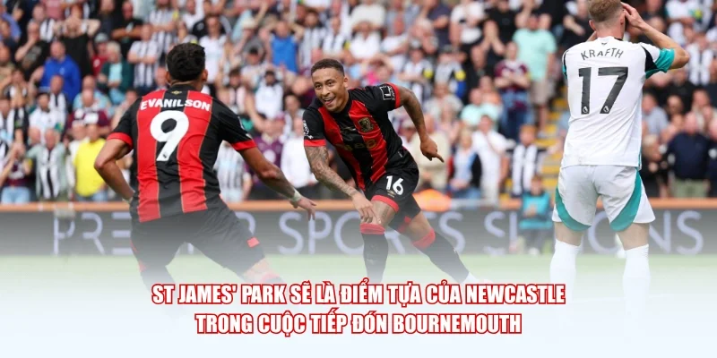 St James' Park sẽ là điểm tựa của Newcastle trong cuộc tiếp đón Bournemouth.